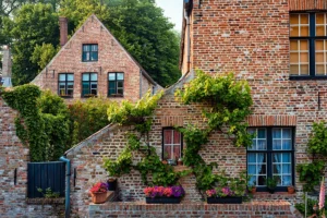 Brick houses with ivy and plants adorning the walls contrast beautifully with their rustic siding. Windows have shutters, and flower boxes overflow with pink and purple blooms. In the background, trees frame another charming gabled house.